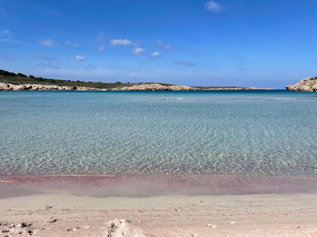 Apartamento Brisa De Menorca Son Parc Exteriér fotografie